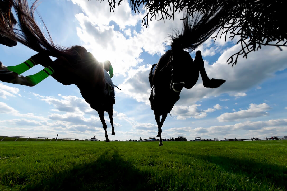 Learn how to bet on horse racing before placing a bet on these two horses jumping over a fence.